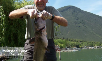 Reel In Resort boat rental operation on Kelseyville, CA 3