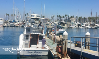 Rocky Point Kayak and Paddle Board Rentals boat rental operation on Redondo Beach, CA 21