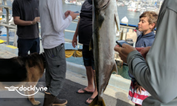 Rocky Point Kayak and Paddle Board Rentals boat rental operation on Redondo Beach, CA 6