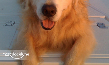 Rocky Point Kayak and Paddle Board Rentals boat rental operation on Redondo Beach, CA 13