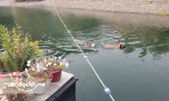 Ruth Lake Marina boat rental operation on Mad River, CA 6