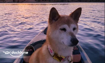 Born To Be Wild Adventures Tours & Rentals boat rental operation on Prescott, AZ 1