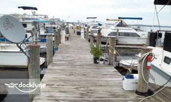 Crystal Cove Marina boat rental operation on Palatka, FL 4
