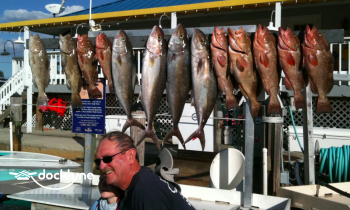 Port Call Marina boat rental operation on Naples, FL 10