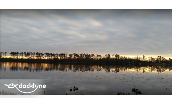 Lake Seminole Boat Rentals boat rental operation on Donalsonville, GA 2