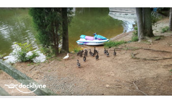 High Rock Marina and Campground boat rental operation on Lexington, NC 5