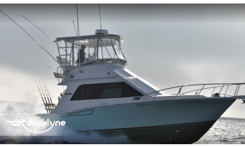 Harbor Boat Rentals- Dana Point boat rental operation on Dana Point, CA 3