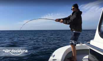 Harbor Boat Rentals- Dana Point boat rental operation on Dana Point, CA 2