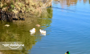 All Day Jet Ski boat rental operation on Lake Elsinore, CA 3