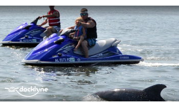 Orange Beach Private Family Dolphin Tours & Boating Safaris boat rental operation on Orange Beach, AL 1