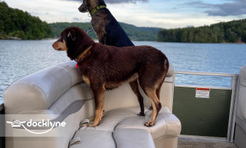 Signal Ridge Marina boat rental operation on Glenville, NC 9