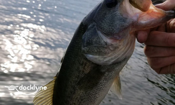 Signal Ridge Marina boat rental operation on Glenville, NC 3