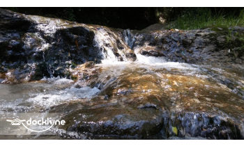 Seminary Canoe Rental boat rental operation on Seminary, MS 1