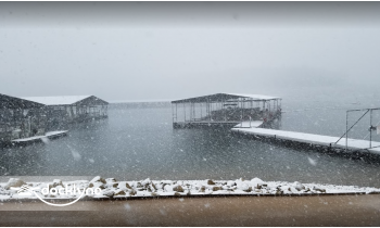 Pontiac Cove Marina boat rental operation on Pontiac, MO 4