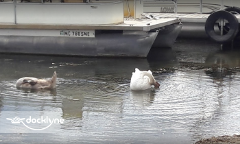 Mac's Marina Inc boat rental operation on Whitmore Lake, MI 1