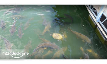 Orleans Trail Marina, Inc. boat rental operation on Stockton, MO 2