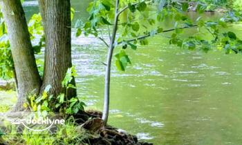 U-Rent-Em Canoe Livery boat rental operation on Hastings, MI 5