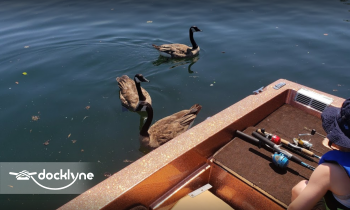 Scotty's Trout Dock boat rental operation on Branson, MO 5