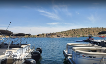 Scorpion Bay Grill boat rental operation on Morristown, AZ 5