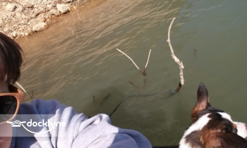 Beaver Creek Marina boat rental operation on Kissee Mills, MO 4