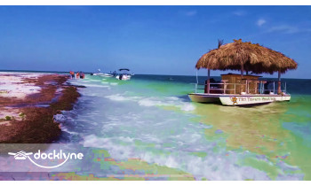 Tiki Tavern Nautica boat rental operation on Dunedin, FL 1