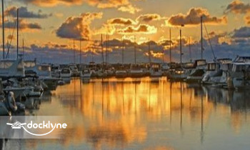 Cajun-Marina boat rental operation on Miami, FL 1