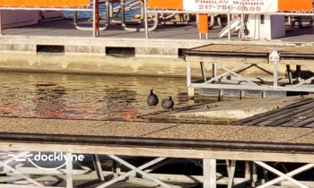 Findlay Marina boat rental operation on Findlay, IL 1