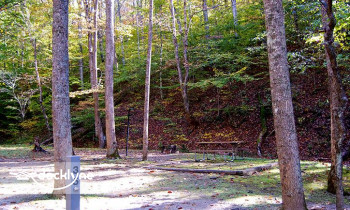 Paintsville Lake Marina boat rental operation on Staffordsville, KY 1