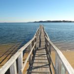 Down Cape Charters & Boat Rentals