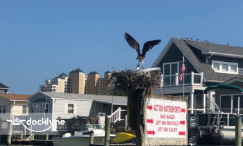 Action Watersports boat rental operation on Ocean City, MD 2