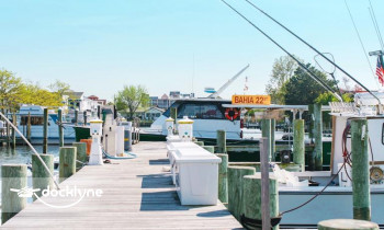 Bahia Marina boat rental operation on Ocean City, MD 3