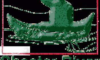 Chester River Kayak Adventures boat rental operation on Rock Hall, MD 1