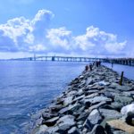 Sandy Point State Park Marina