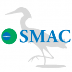 Scarborough Marsh Audubon Center