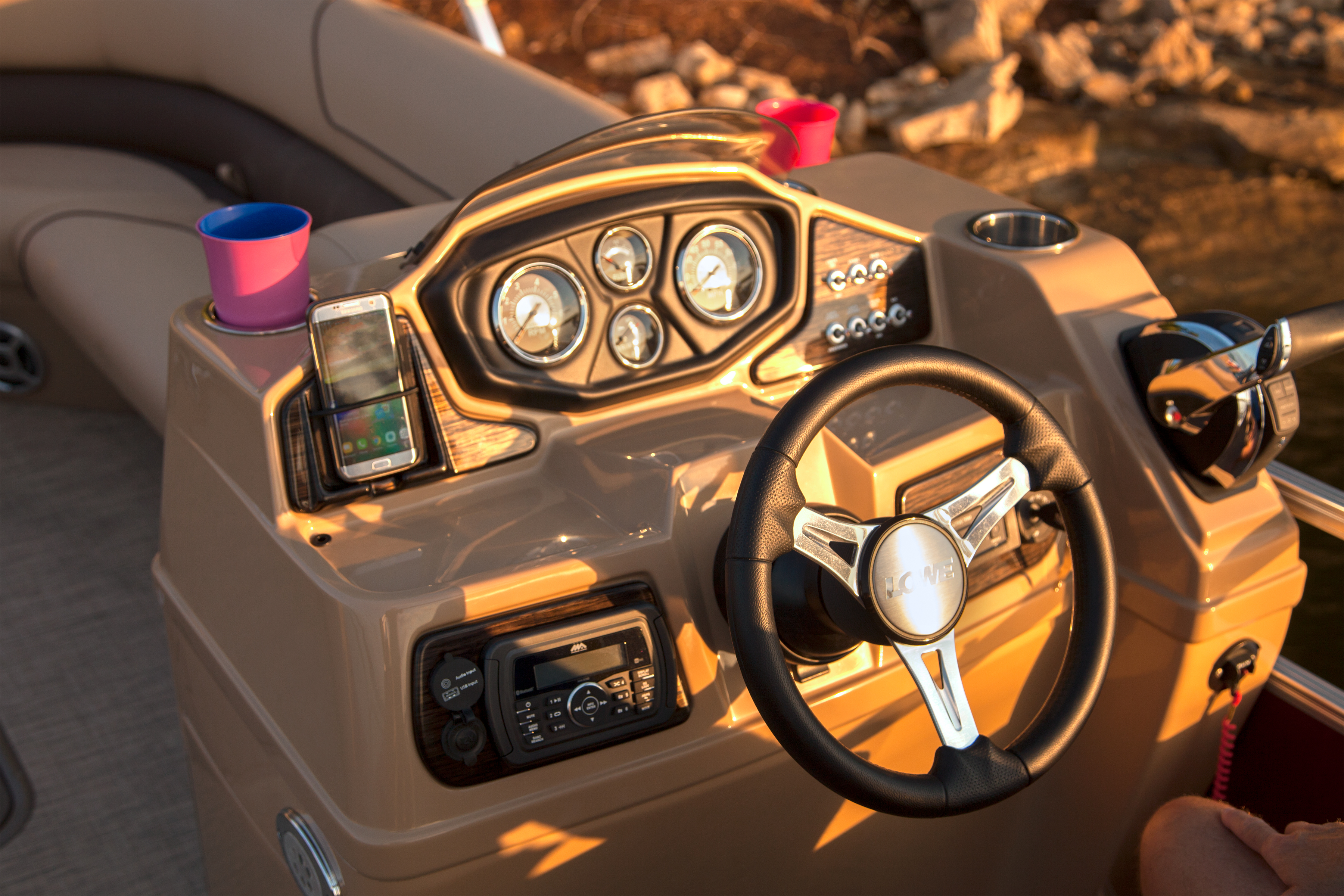 Lake Toons Boat Rental