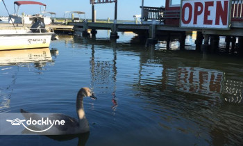 Causeway Boat Rentals boat rental operation on Manahawkin, NJ 1
