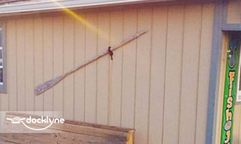 Downe’s Marina boat rental operation on Bayville, NJ 2