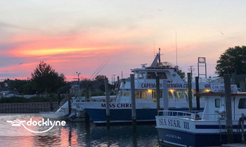 Miss Chris Marina Boat Rentals boat rental operation on Cape May, NJ 1