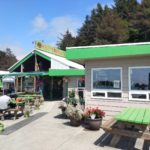 Kelly's Brighton Marina